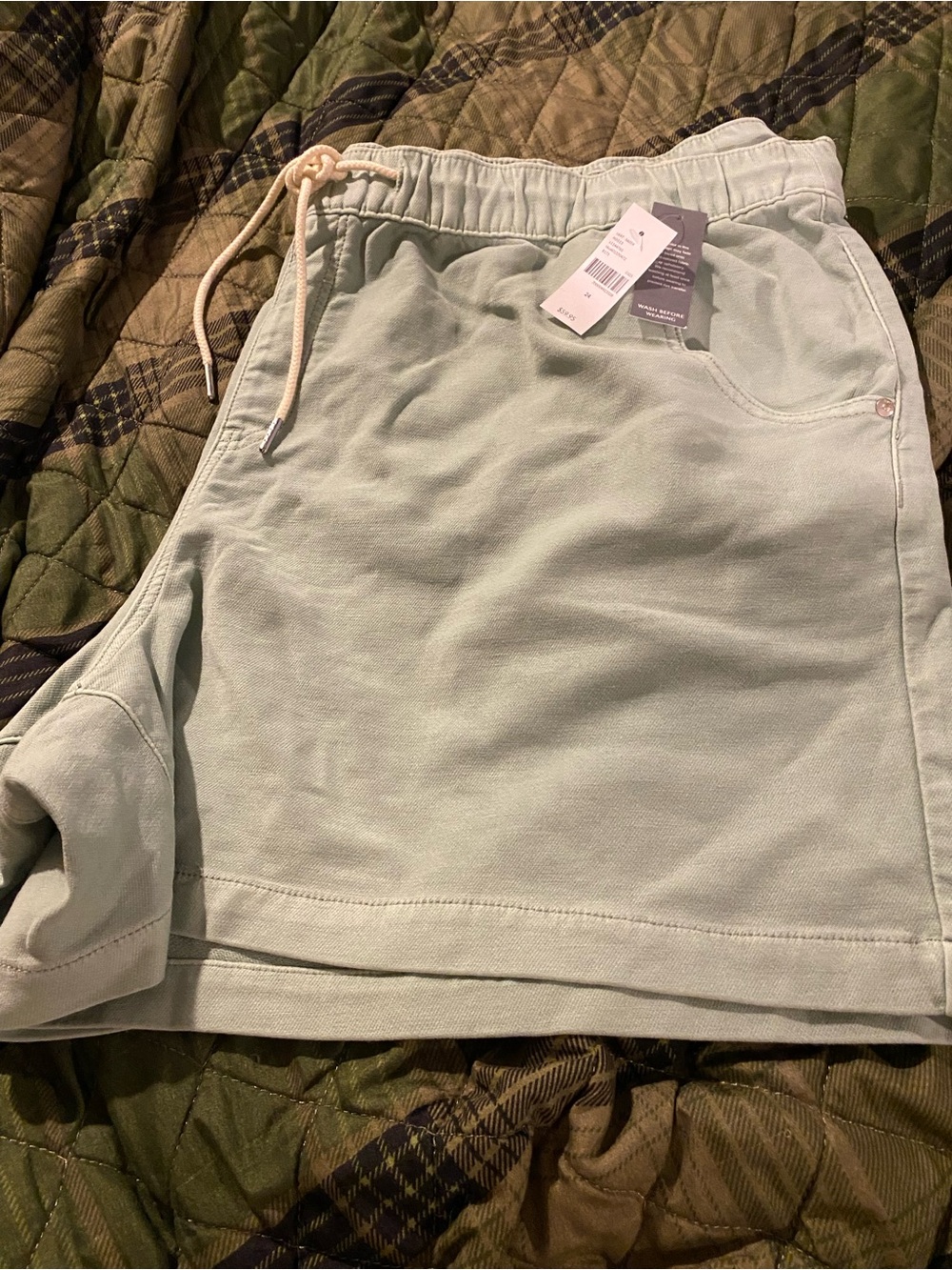 Lane Bryant Mint Green Drawstring Shorts. Size 24.